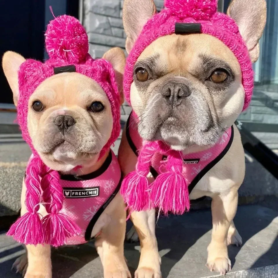 Winter Pet Dog Knitted Hat Warm Windproof Pet Hats Woolen Fashion Cat Headband Protector Simple and Practical Cold Resistant Hat