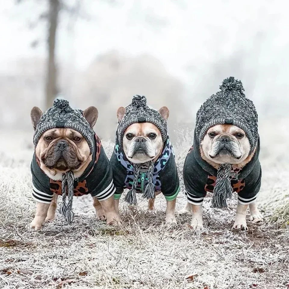 Winter Pet Dog Knitted Hat Warm Windproof Pet Hats Woolen Fashion Cat Headband Protector Simple and Practical Cold Resistant Hat