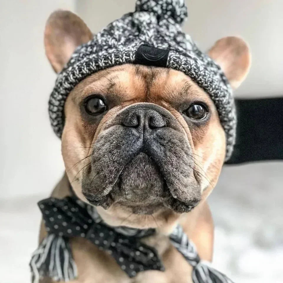 Winter Pet Dog Knitted Hat Warm Windproof Pet Hats Woolen Fashion Cat Headband Protector Simple and Practical Cold Resistant Hat