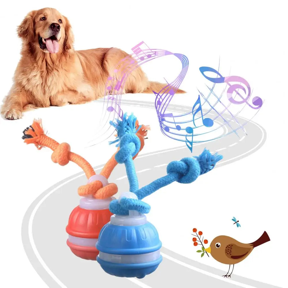 Medium Dog Ball Dog Toy Rolling Pet Toy with Motion Sensor USB Charging Automatic Moving Ball Squeaky Dog Toy for Active Play