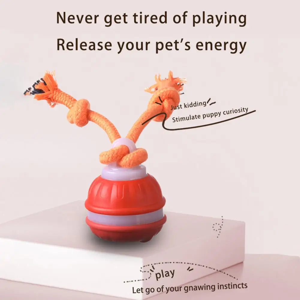 Medium Dog Ball Dog Toy Rolling Pet Toy with Motion Sensor USB Charging Automatic Moving Ball Squeaky Dog Toy for Active Play