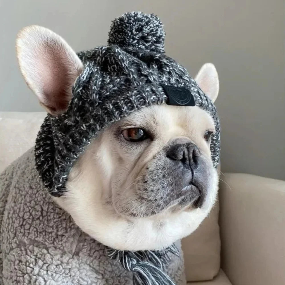 Winter Pet Dog Knitted Hat Warm Windproof Pet Hats Woolen Fashion Cat Headband Protector Simple and Practical Cold Resistant Hat