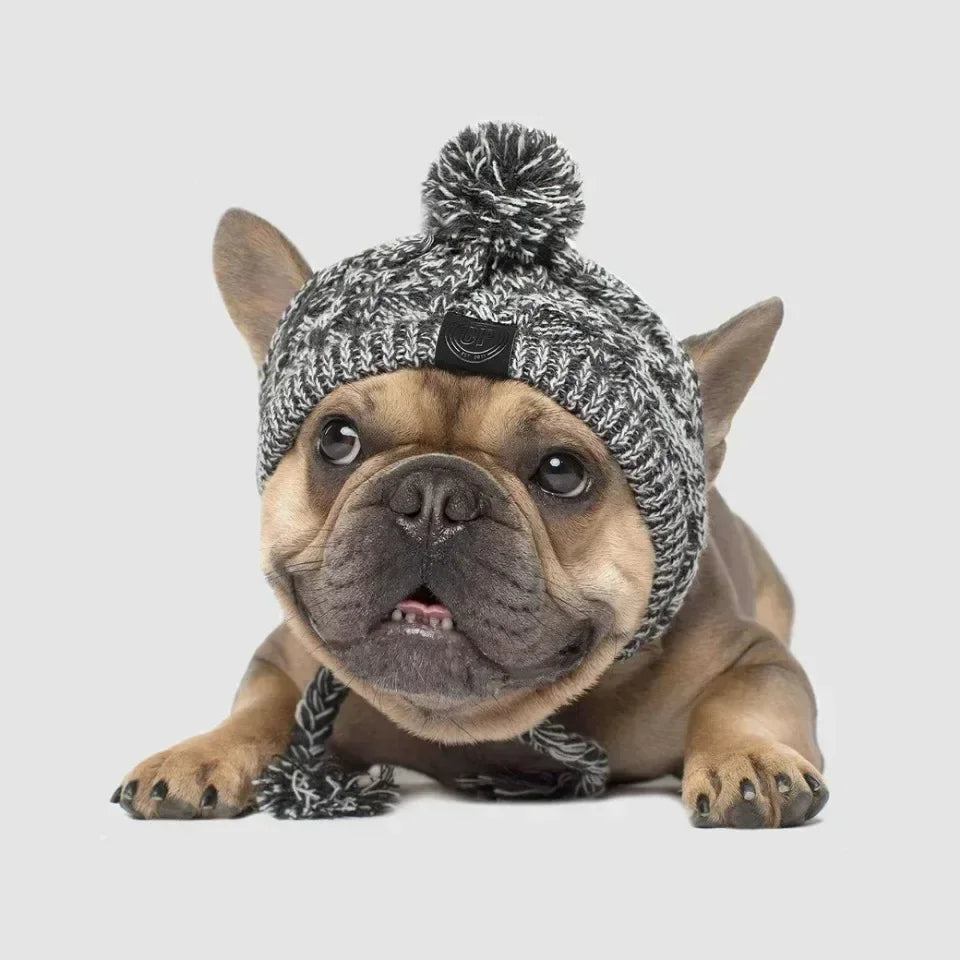 Winter Pet Dog Knitted Hat Warm Windproof Pet Hats Woolen Fashion Cat Headband Protector Simple and Practical Cold Resistant Hat