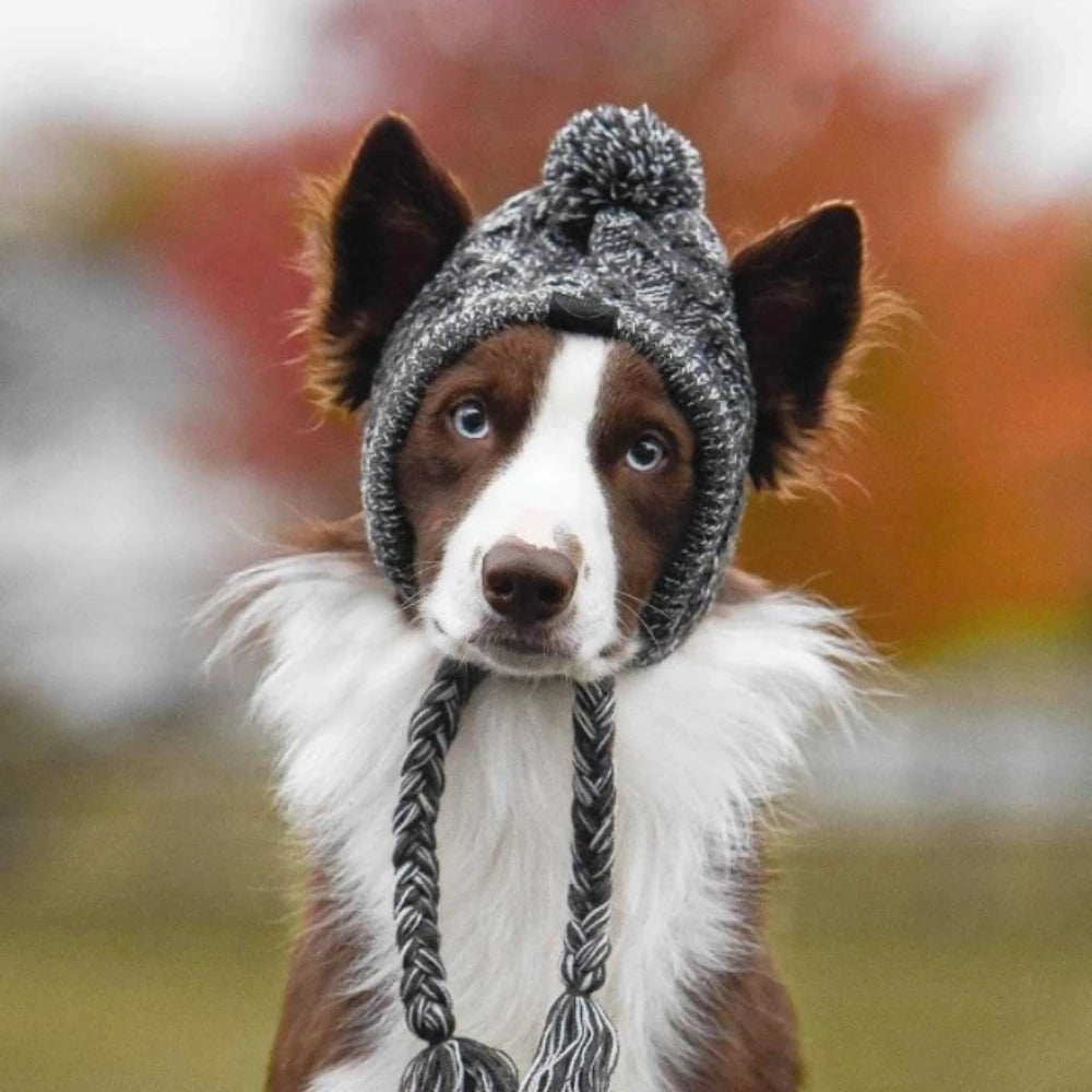 Winter Pet Dog Knitted Hat Warm Windproof Pet Hats Woolen Fashion Cat Headband Protector Simple and Practical Cold Resistant Hat