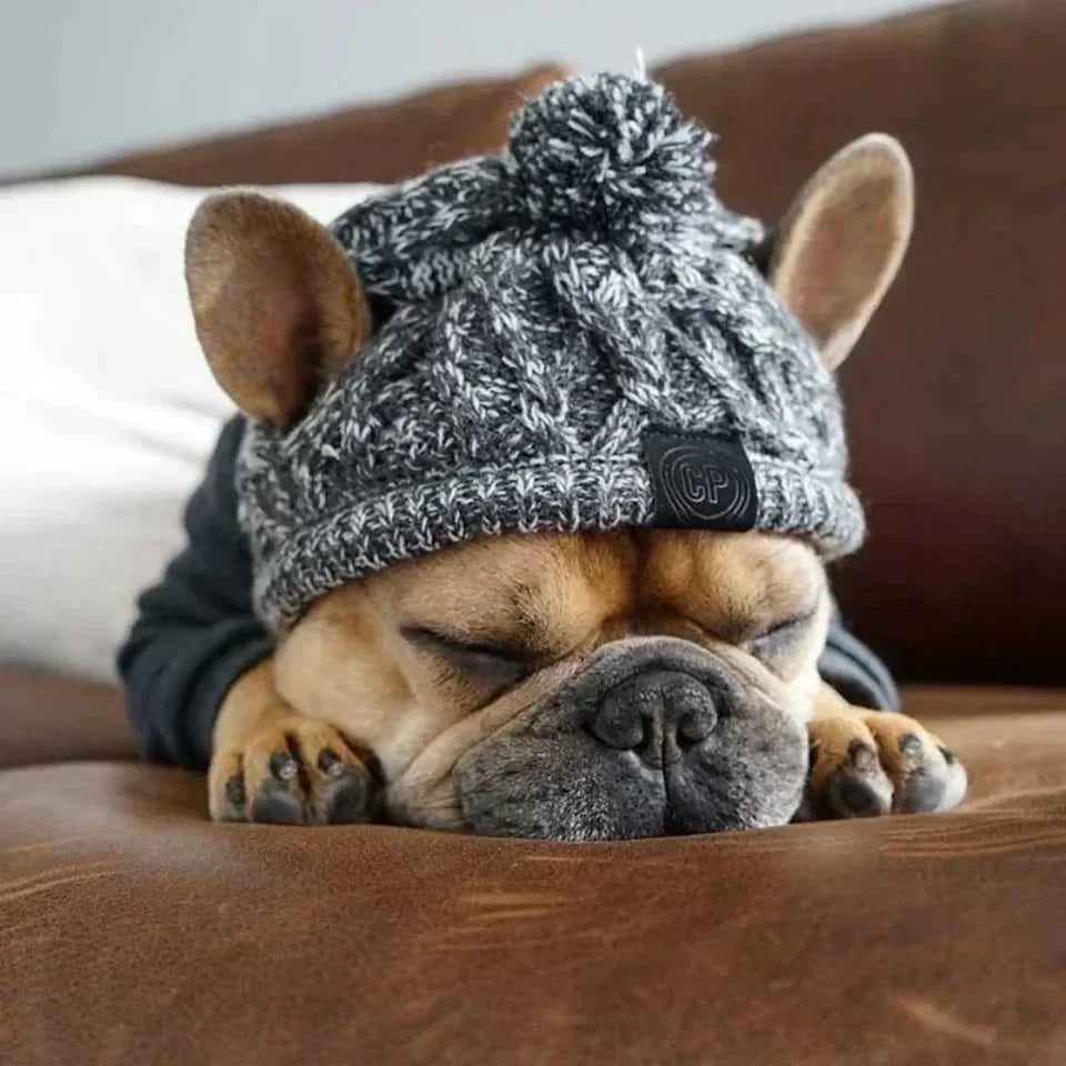 Winter Pet Dog Knitted Hat Warm Windproof Pet Hats Woolen Fashion Cat Headband Protector Simple and Practical Cold Resistant Hat