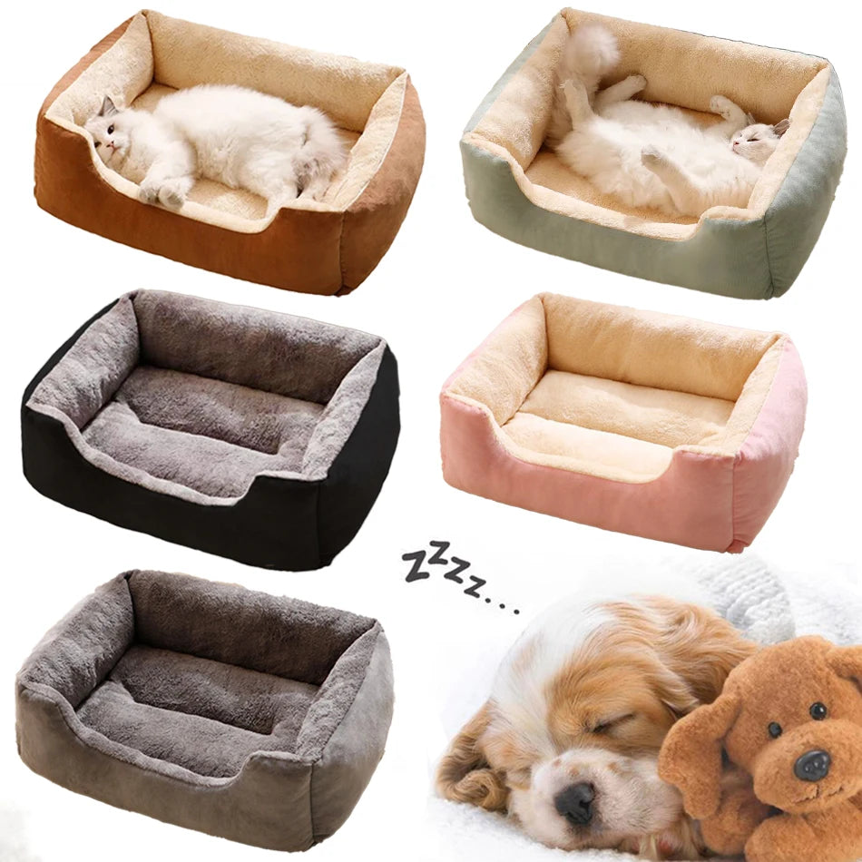 Bed for Cats Pet Products Cushions Kitten Goods Accessories Dog All Houses Supplies Things Accessory Habitats Basket House Beds