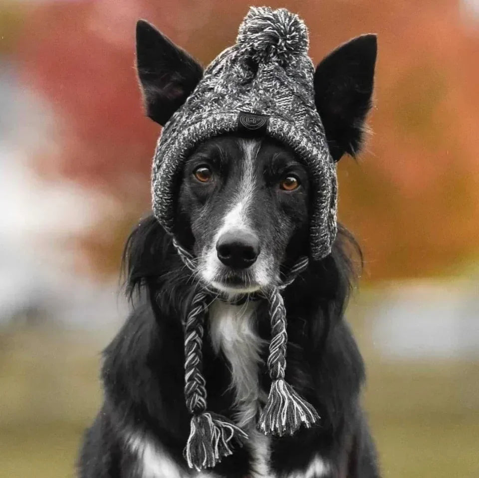 Winter Pet Dog Knitted Hat Warm Windproof Pet Hats Woolen Fashion Cat Headband Protector Simple and Practical Cold Resistant Hat