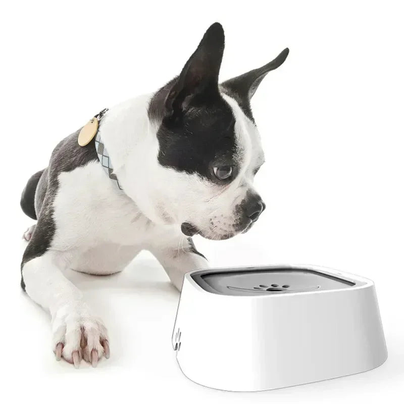 Drinking Water Bowl, Floating, Non-wetting Mouth, for Dog, Without Spill