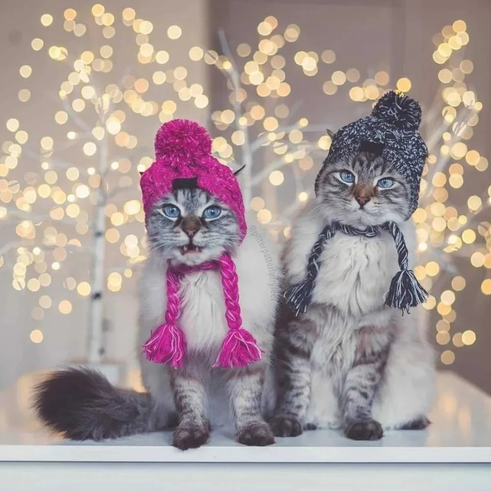 Winter Pet Dog Knitted Hat Warm Windproof Pet Hats Woolen Fashion Cat Headband Protector Simple and Practical Cold Resistant Hat