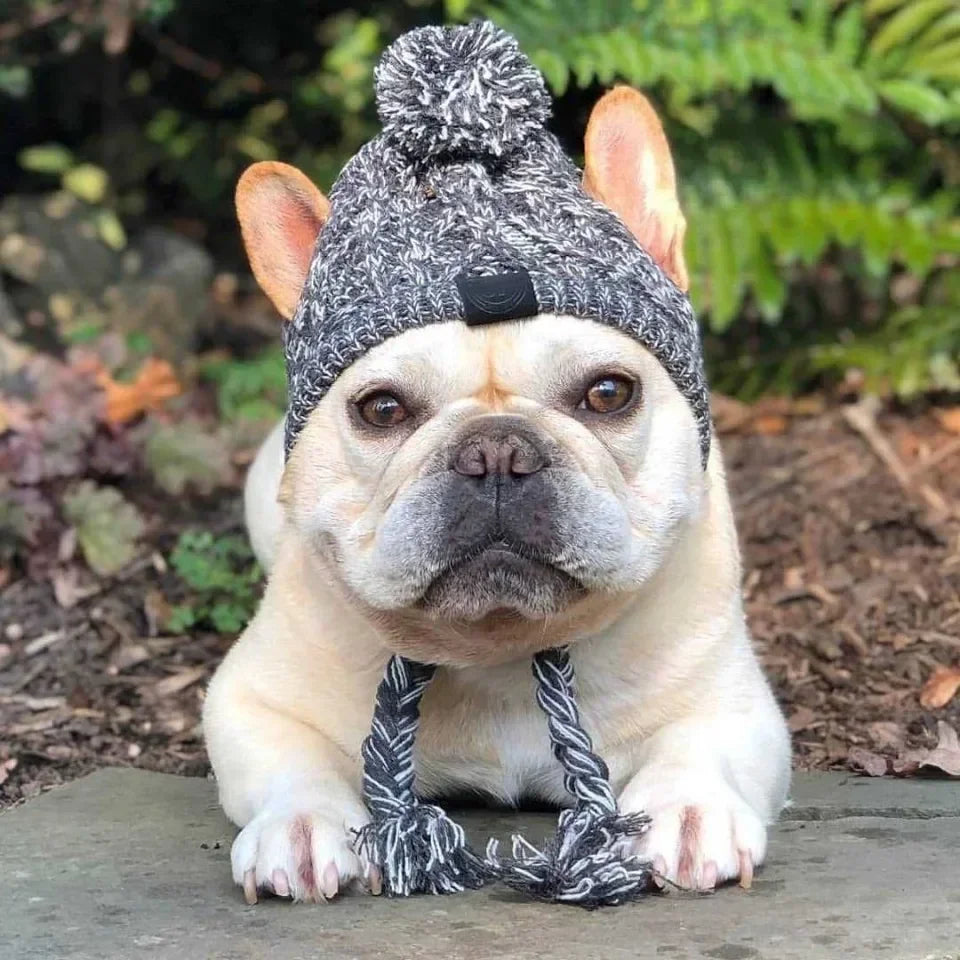 Winter Pet Dog Knitted Hat Warm Windproof Pet Hats Woolen Fashion Cat Headband Protector Simple and Practical Cold Resistant Hat