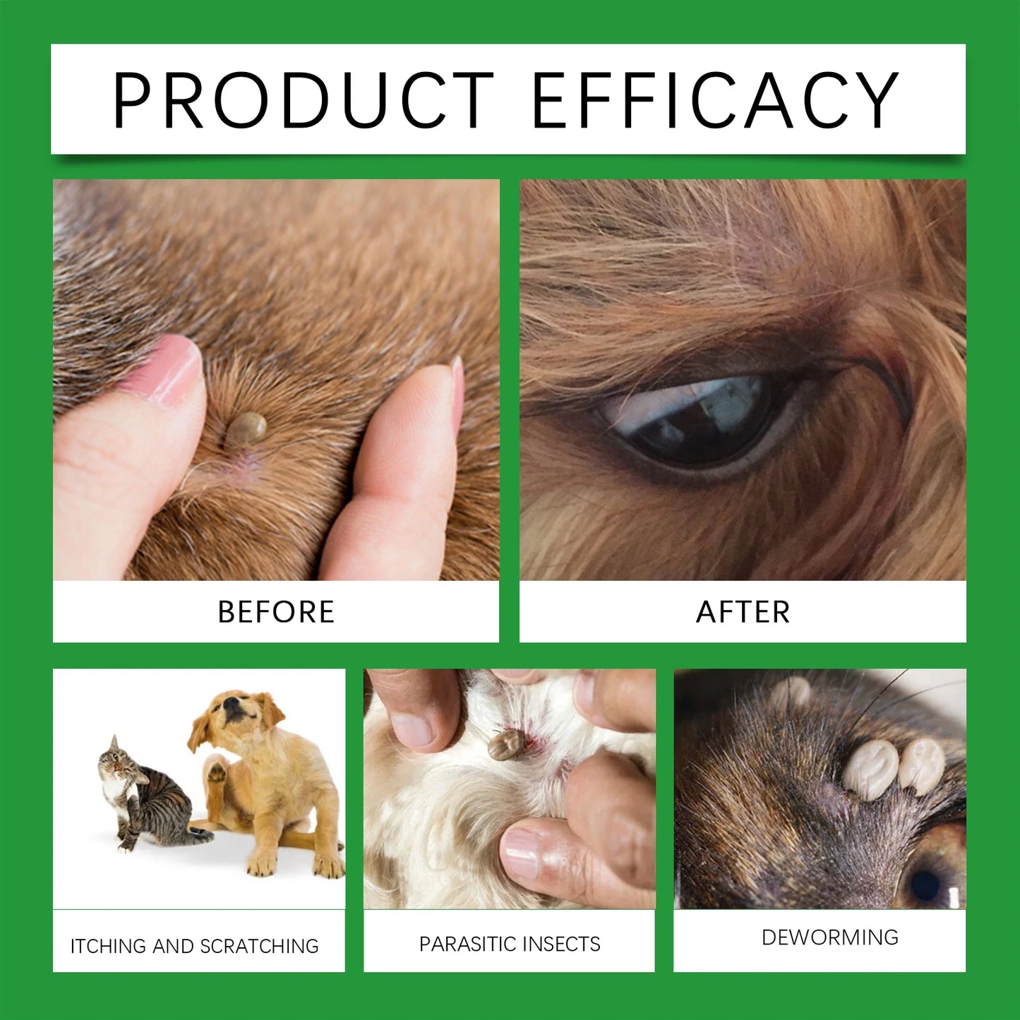 100ml Pet Flea Tick Prevention Spray Hypoallergenic Gentle Coat Skin Care for Dog and Cat with Non Irritating Daily Use