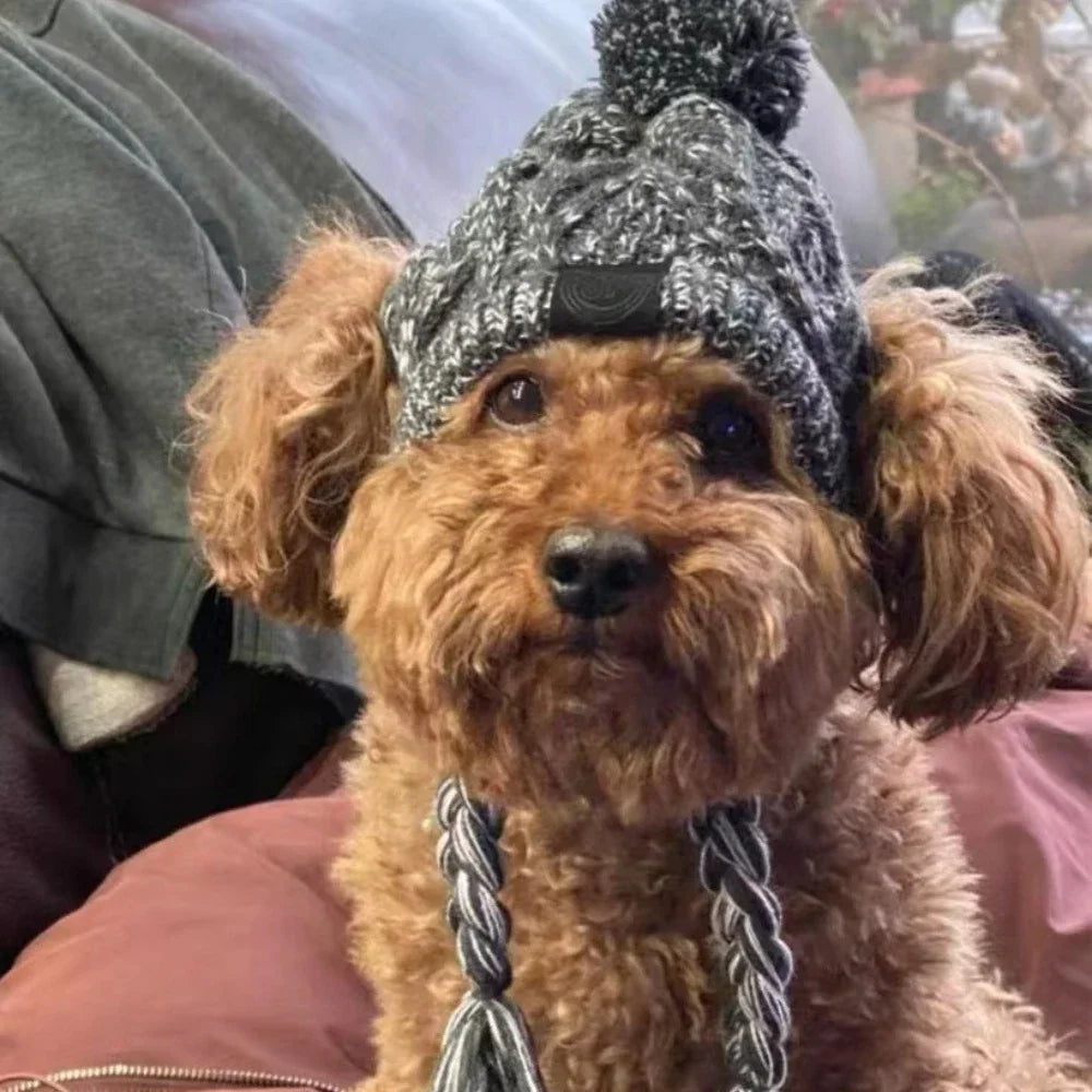Winter Pet Dog Knitted Hat Warm Windproof Pet Hats Woolen Fashion Cat Headband Protector Simple and Practical Cold Resistant Hat