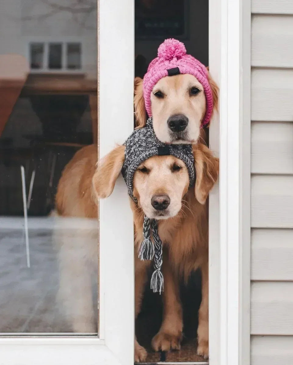 Winter Pet Dog Knitted Hat Warm Windproof Pet Hats Woolen Fashion Cat Headband Protector Simple and Practical Cold Resistant Hat