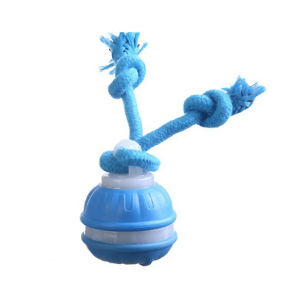 Medium Dog Ball Dog Toy Rolling Pet Toy with Motion Sensor USB Charging Automatic Moving Ball Squeaky Dog Toy for Active Play