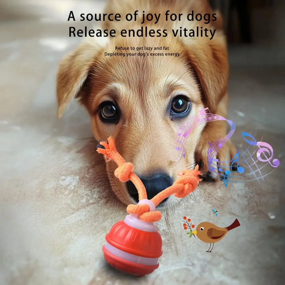 Medium Dog Ball Dog Toy Rolling Pet Toy with Motion Sensor USB Charging Automatic Moving Ball Squeaky Dog Toy for Active Play