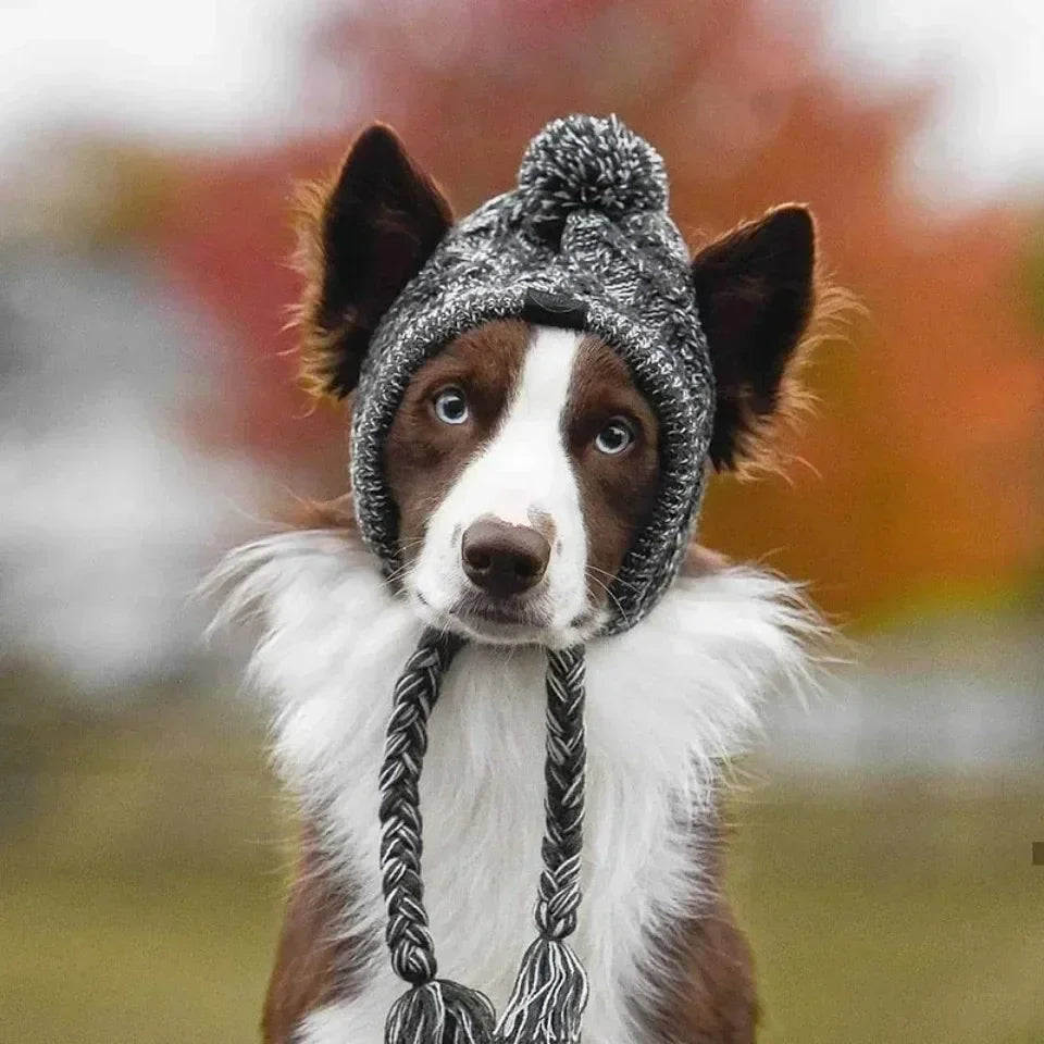 Winter Pet Dog Knitted Hat Warm Windproof Pet Hats Woolen Fashion Cat Headband Protector Simple and Practical Cold Resistant Hat