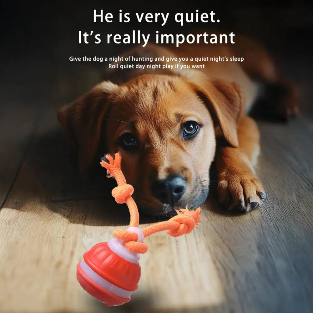 Medium Dog Ball Dog Toy Rolling Pet Toy with Motion Sensor USB Charging Automatic Moving Ball Squeaky Dog Toy for Active Play