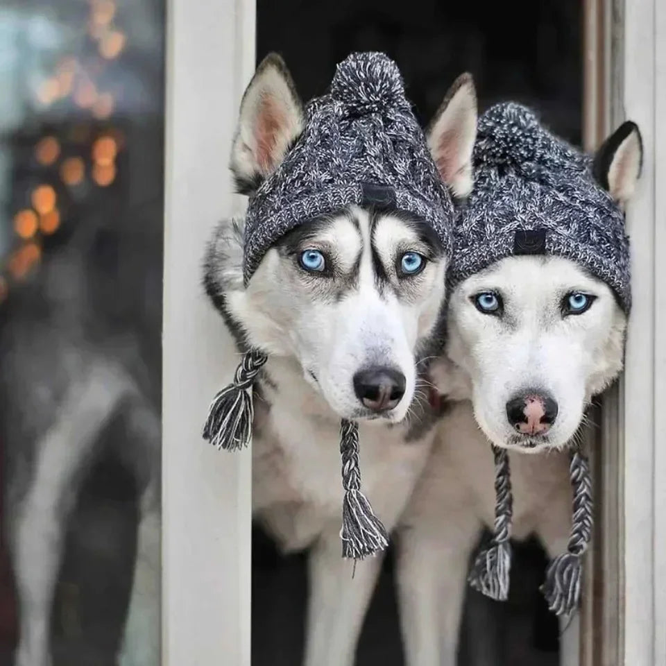 Winter Pet Dog Knitted Hat Warm Windproof Pet Hats Woolen Fashion Cat Headband Protector Simple and Practical Cold Resistant Hat