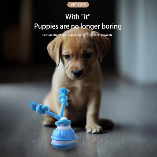 Medium Dog Ball Dog Toy Rolling Pet Toy with Motion Sensor USB Charging Automatic Moving Ball Squeaky Dog Toy for Active Play