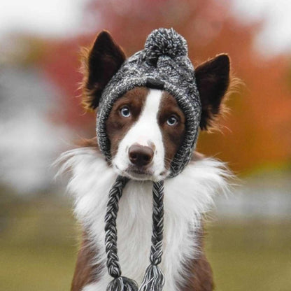 Winter Pet Dog Knitted Hat Warm Windproof Pet Hats Woolen Fashion Cat Headband Protector Simple and Practical Cold Resistant Hat